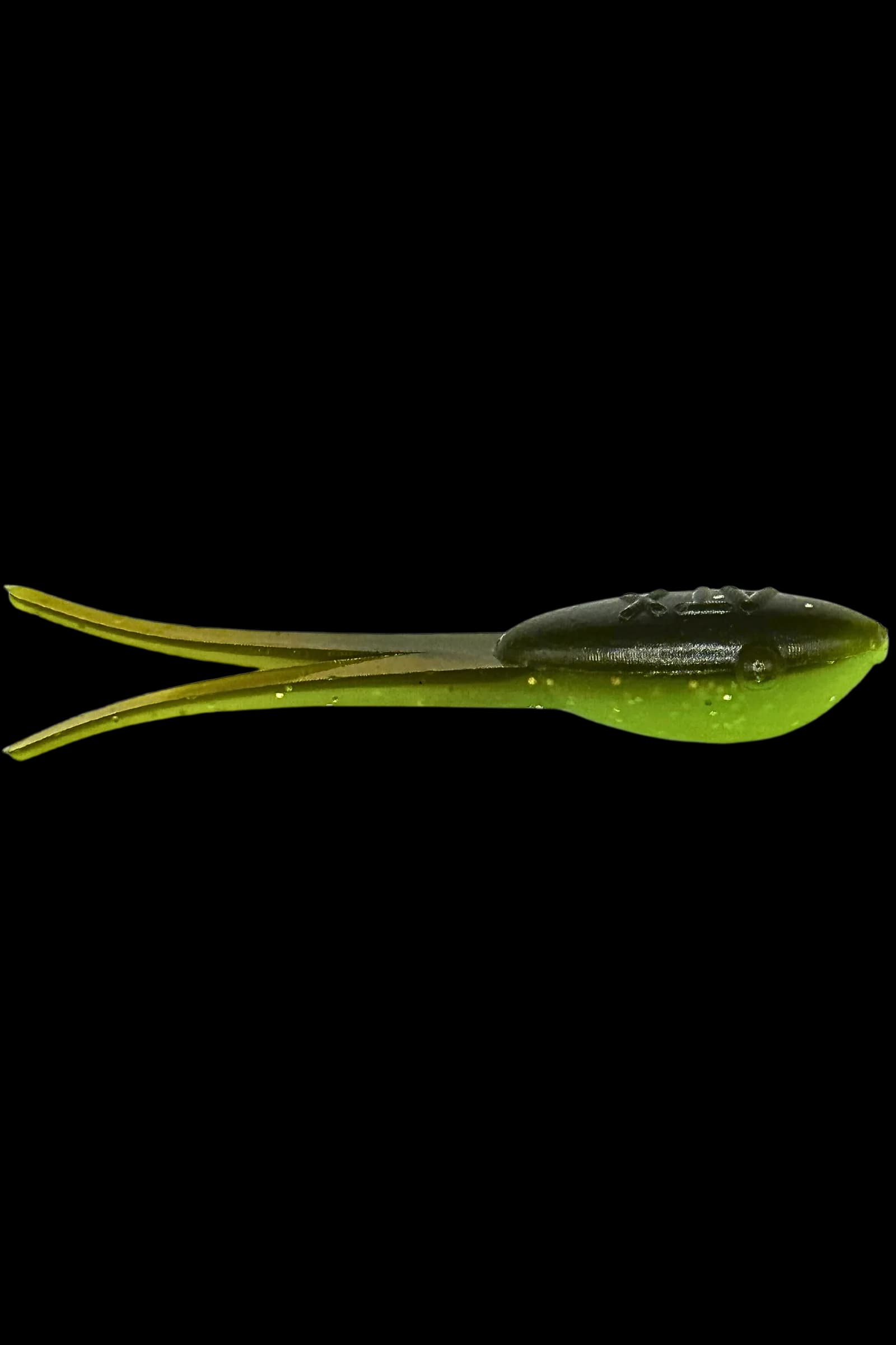 Wicked Shad