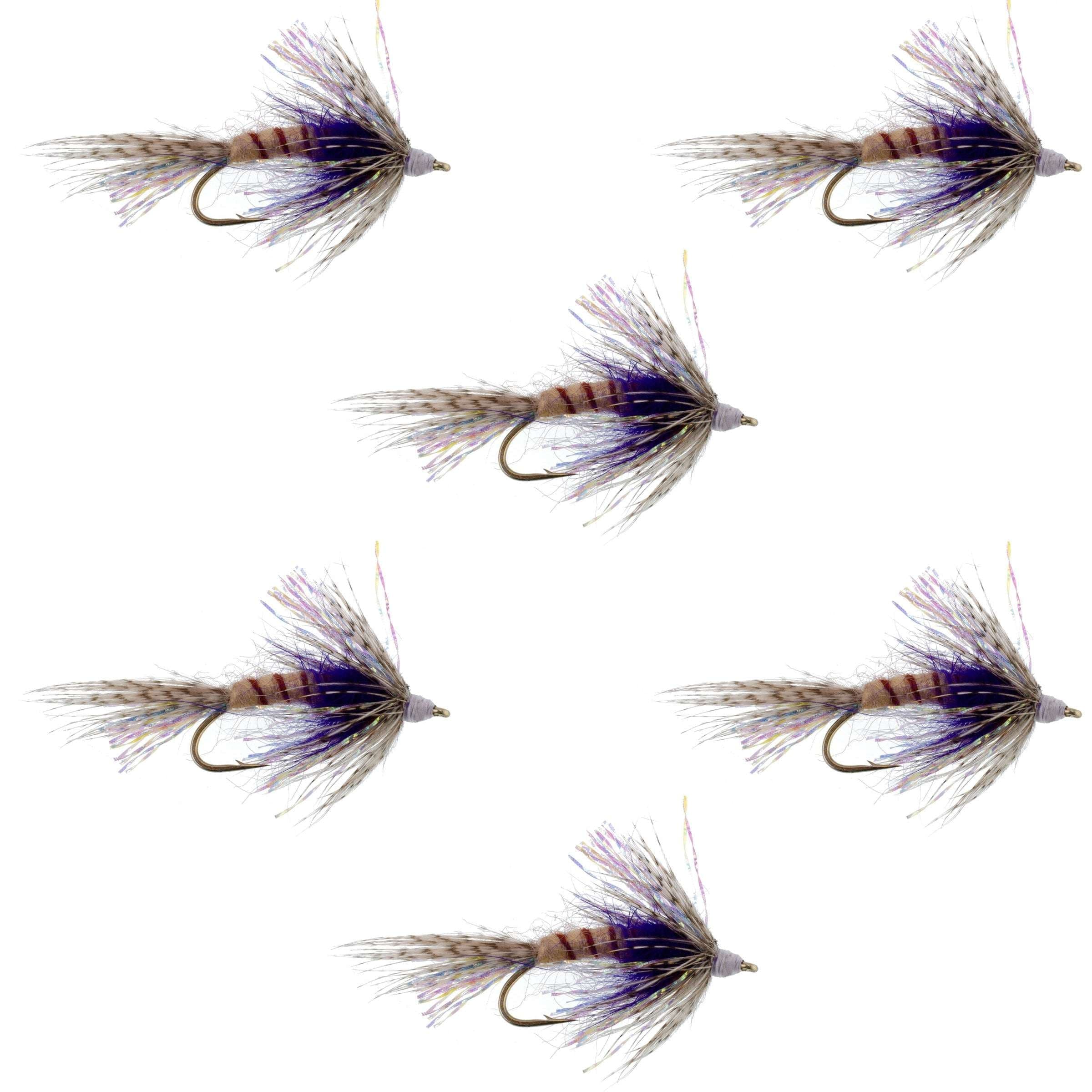 Purple Shakey Bealy Fall Soft Hackle Wet Fly - 6 Flies Hook Size 10