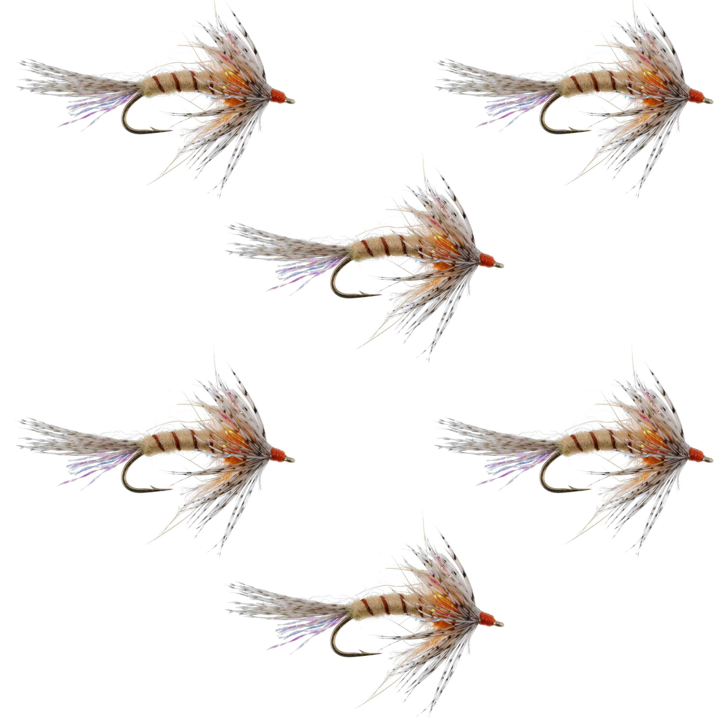 Orange Shakey Bealy Fall Soft Hackle Wet Fly - 6 Flies Hook Size 10
