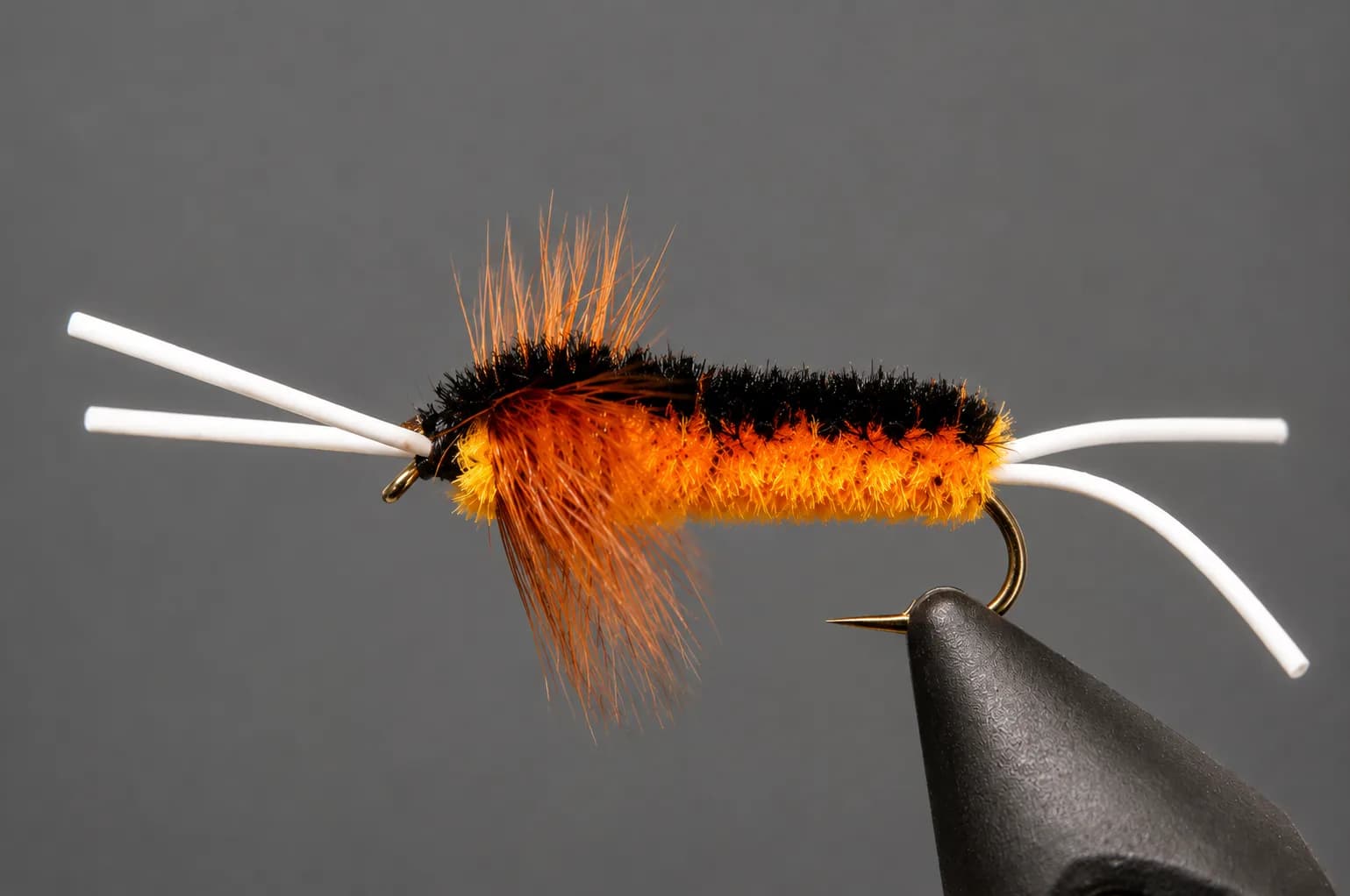 Bitch Creek Stonefly
