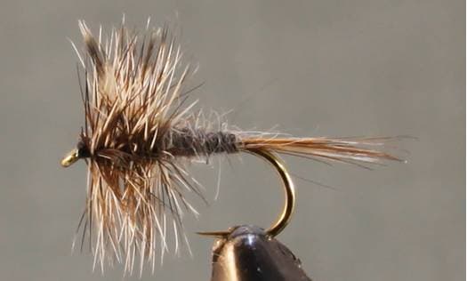 Adams Dry Fly - Standard & Parachute