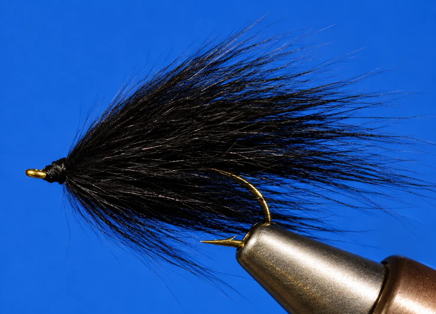 Pine Squirrel Leech