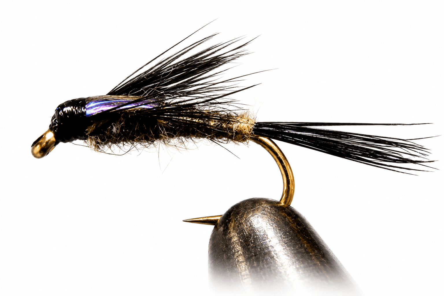 Purple Back Baetis