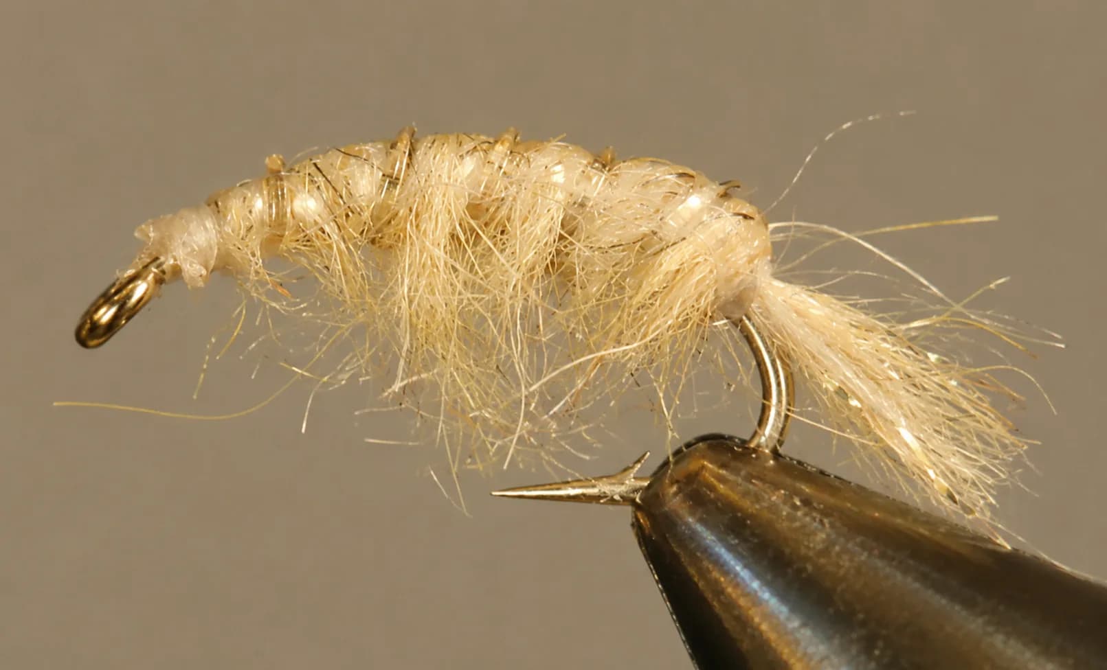 Molting Scuds