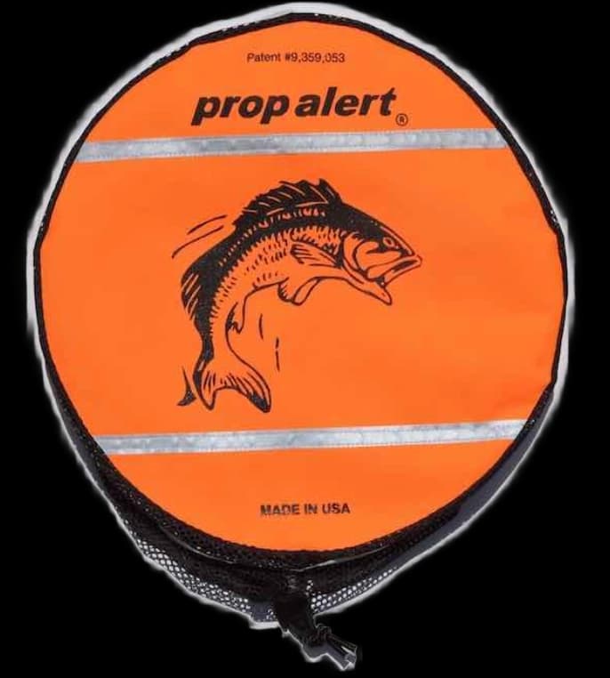Orange Bass XL